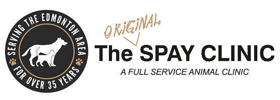 The Spay Clinic